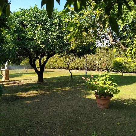Da Ninnilla Holiday Home Scafati Dış mekan fotoğraf