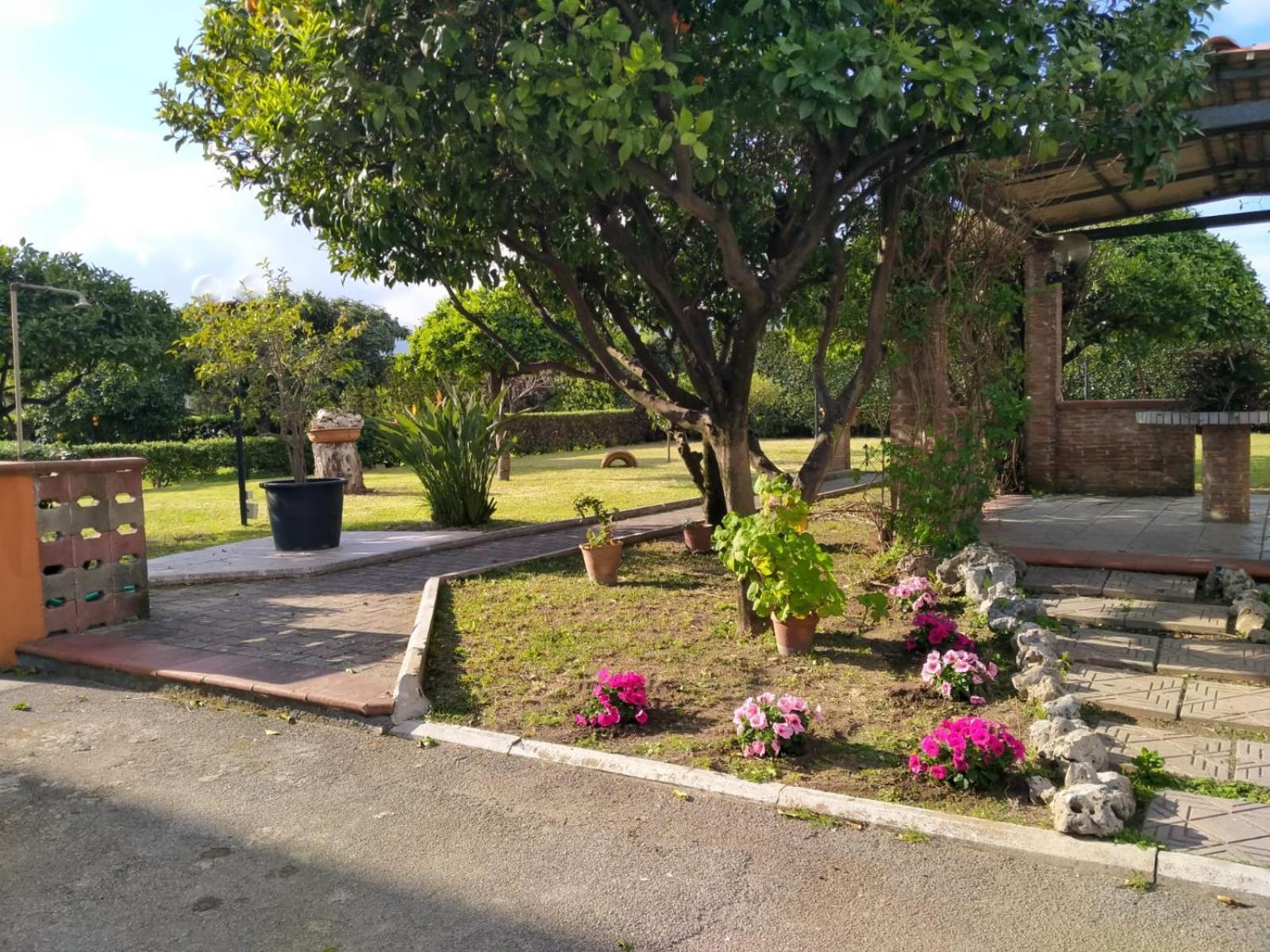 Da Ninnilla Holiday Home Scafati Dış mekan fotoğraf