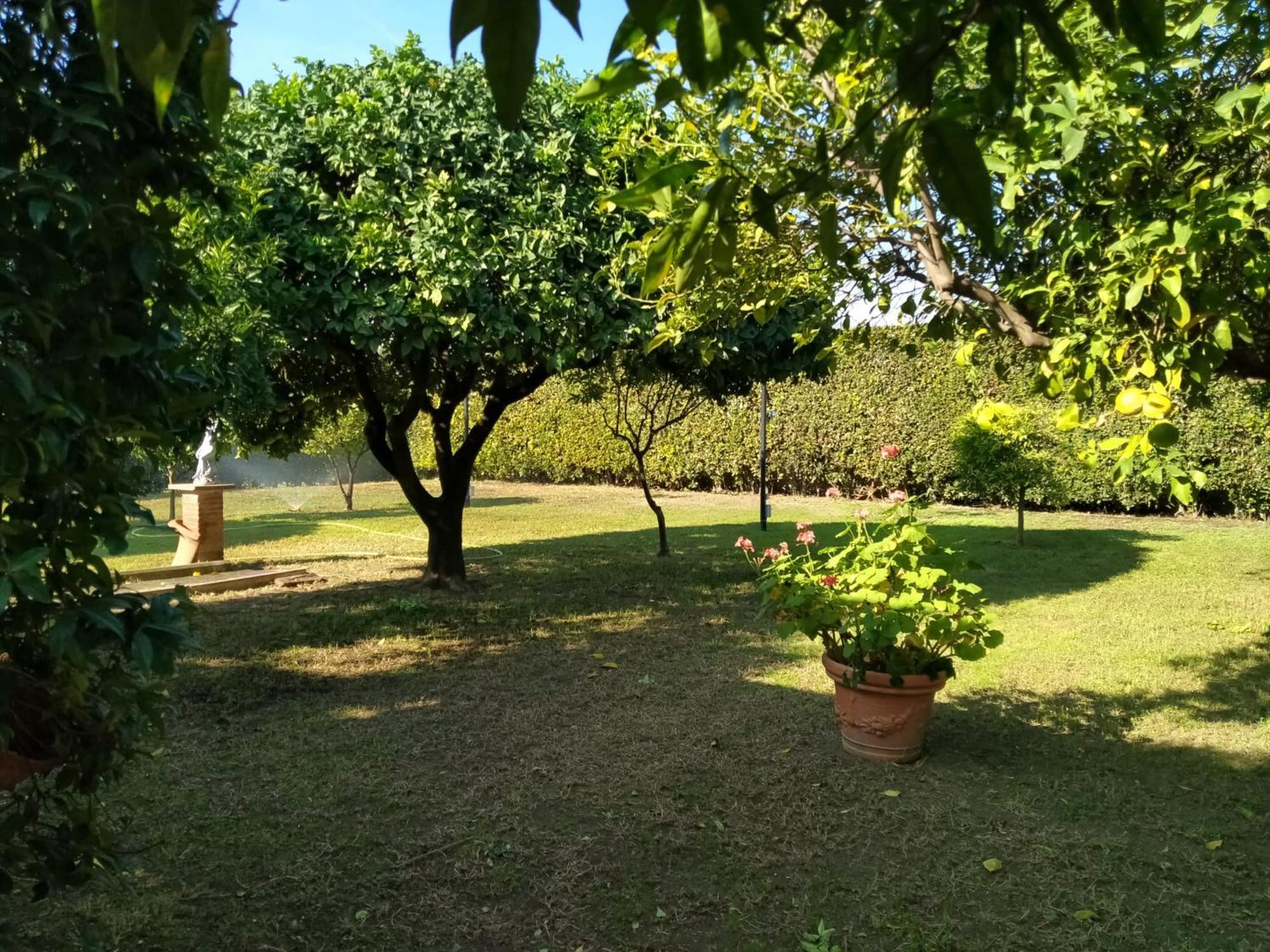 Da Ninnilla Holiday Home Scafati Dış mekan fotoğraf