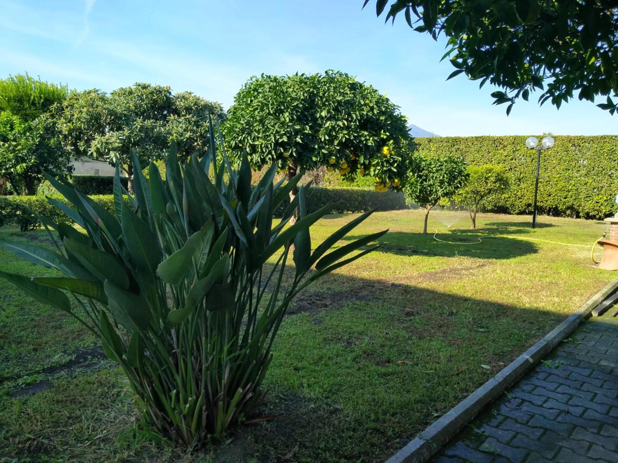 Da Ninnilla Holiday Home Scafati Dış mekan fotoğraf
